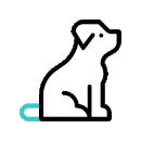 dog-resize-trasp